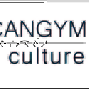 AMERICAN GYM