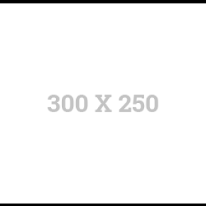 300×250